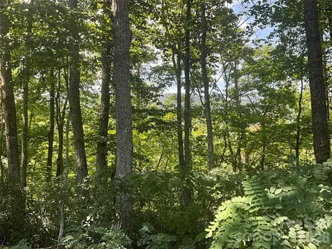Lot 67 Treetops Lane Lake Lure NC 28746