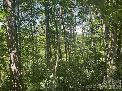 Lot 67 Treetops Lane Lake Lure NC 28746