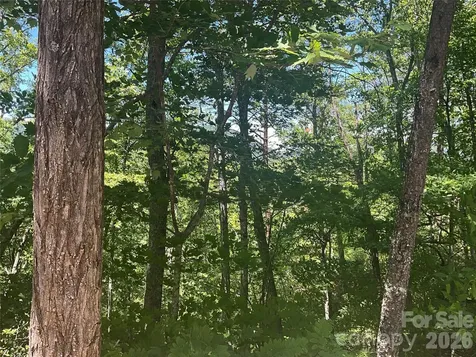 Lot 67 Treetops Lane Lake Lure NC 28746