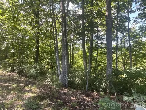 Lot 67 Treetops Lane Lake Lure NC 28746