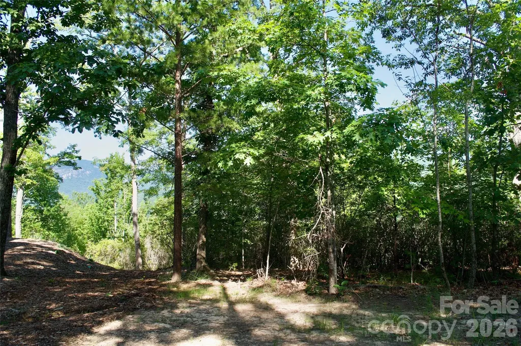 Lot 30 High Rock Ridge Lake Lure NC 28746