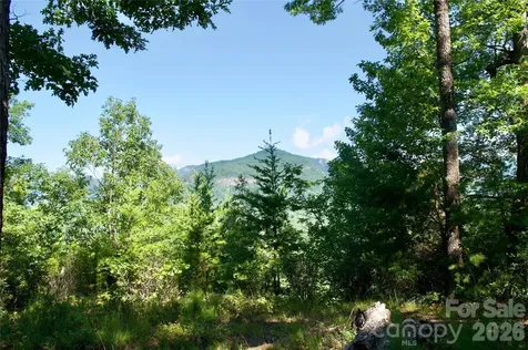 Lot 30 High Rock Ridge Lake Lure NC 28746