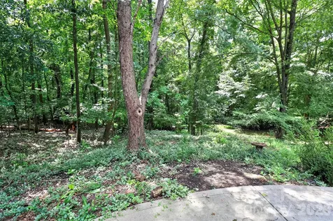 7912 Ritter Drive Charlotte NC 28270