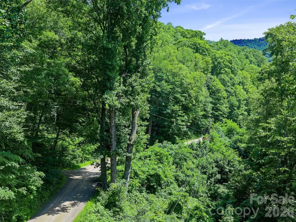 0000 Deep Gap Road Burnsville NC 28714