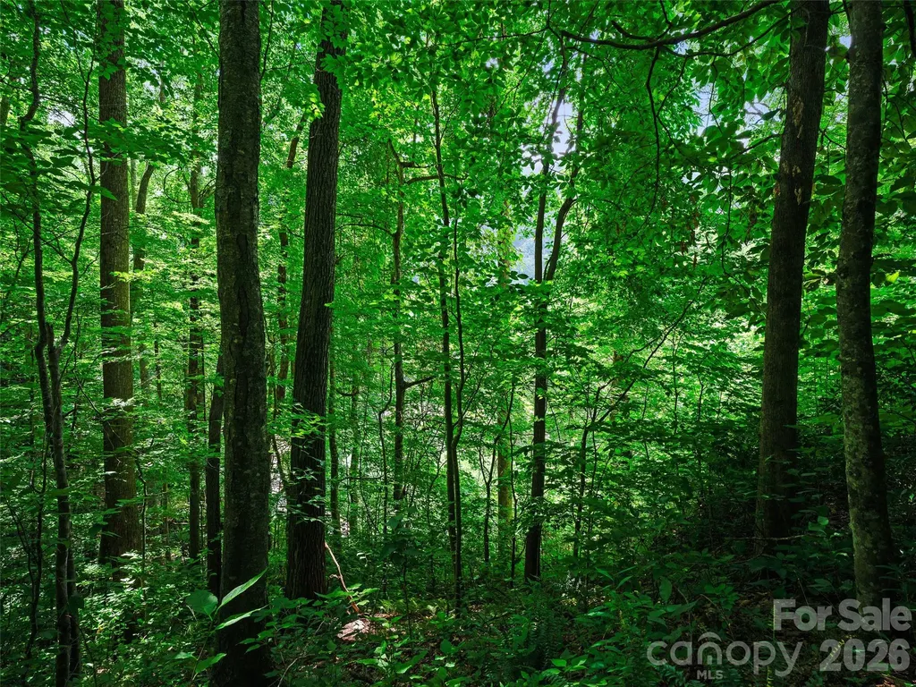 0000 Deep Gap Road Burnsville NC 28714
