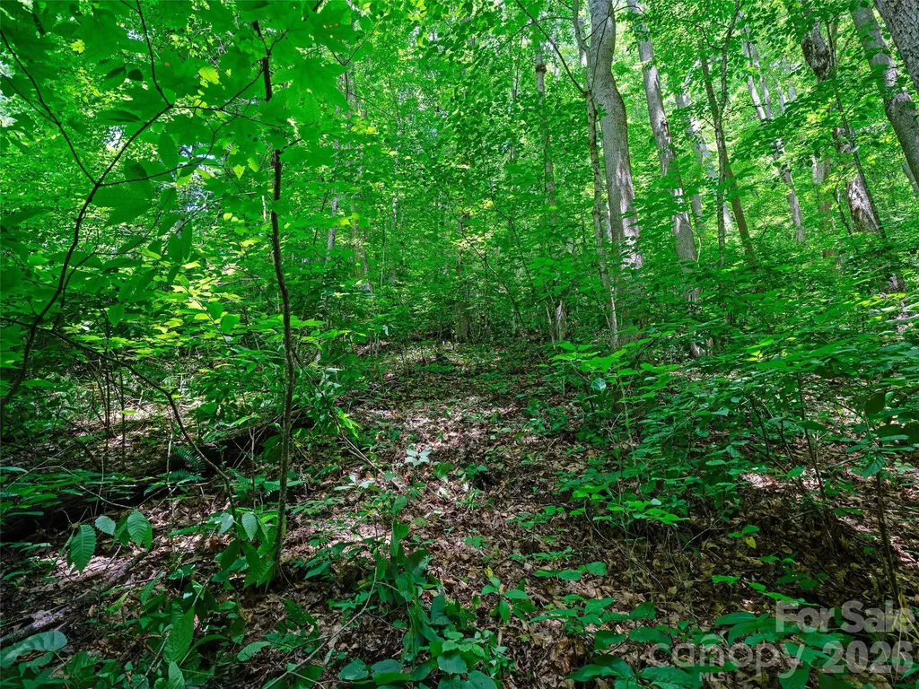 0000 Deep Gap Road Burnsville NC 28714