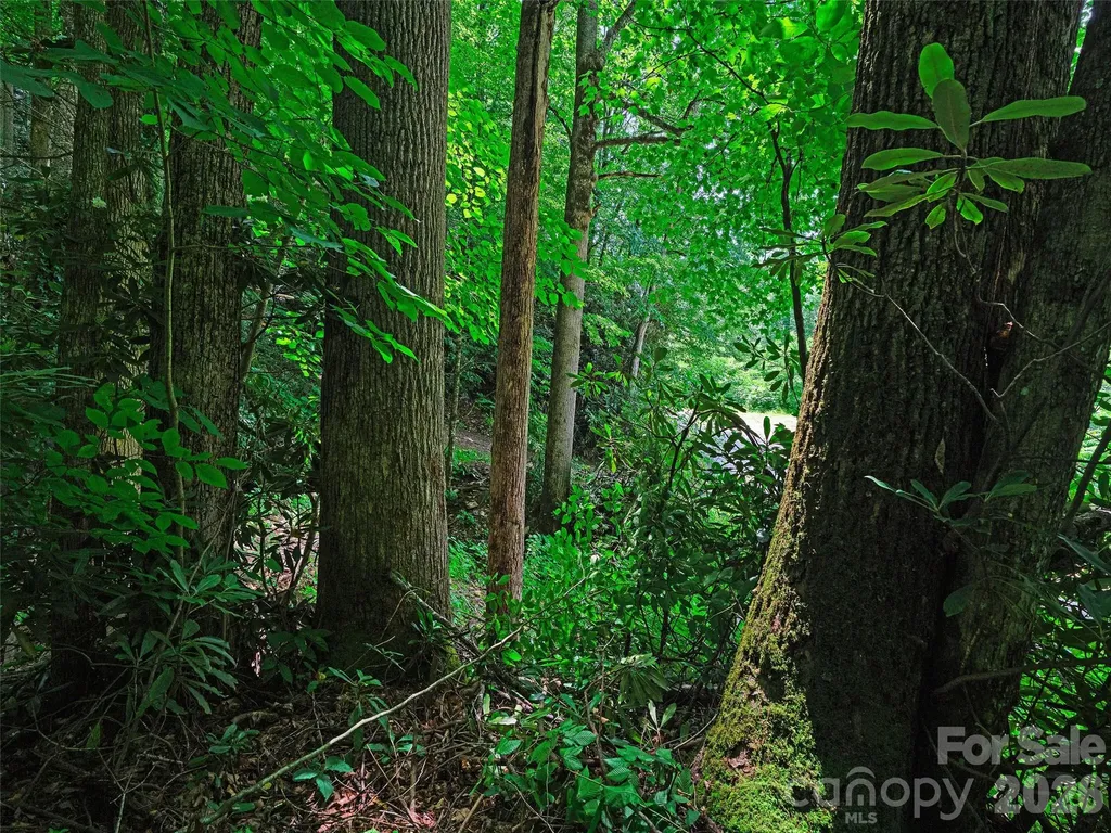 0000 Deep Gap Road Burnsville NC 28714
