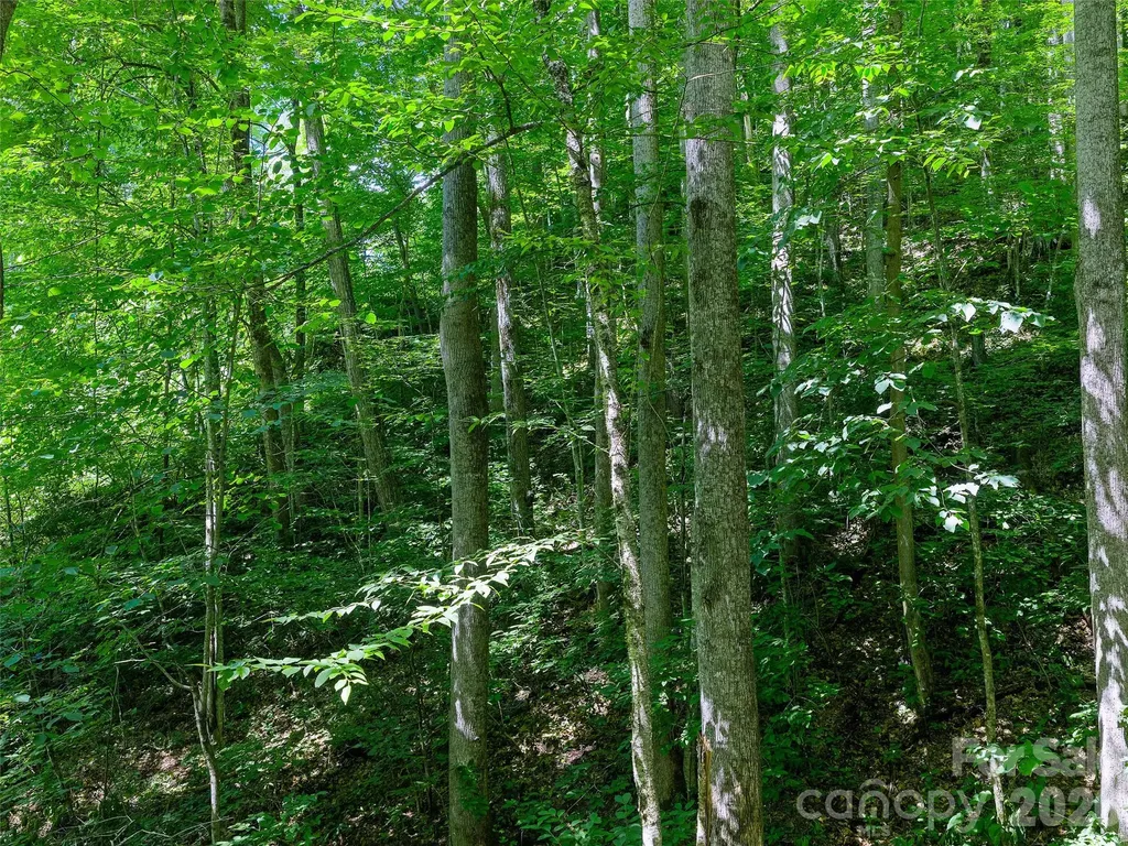 0000 Deep Gap Road Burnsville NC 28714