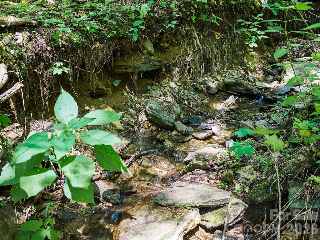 0000 Deep Gap Road Burnsville NC 28714
