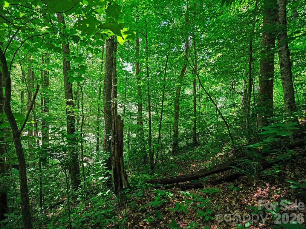 0000 Deep Gap Road Burnsville NC 28714