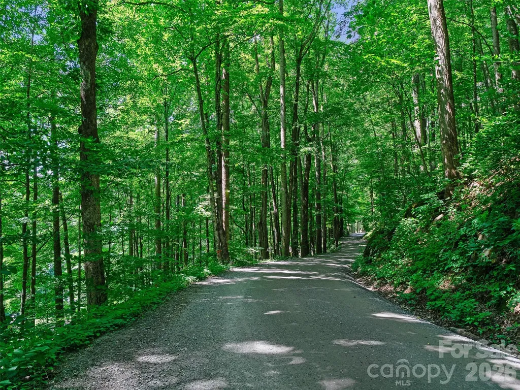 0000 Deep Gap Road Burnsville NC 28714