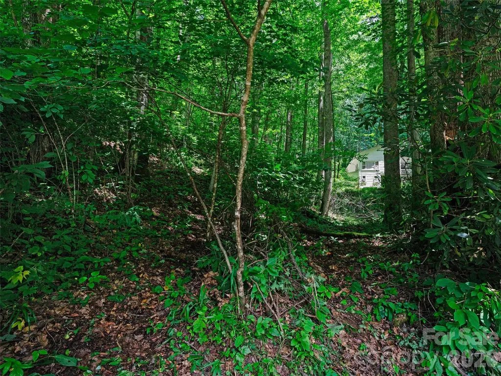 0000 Deep Gap Road Burnsville NC 28714