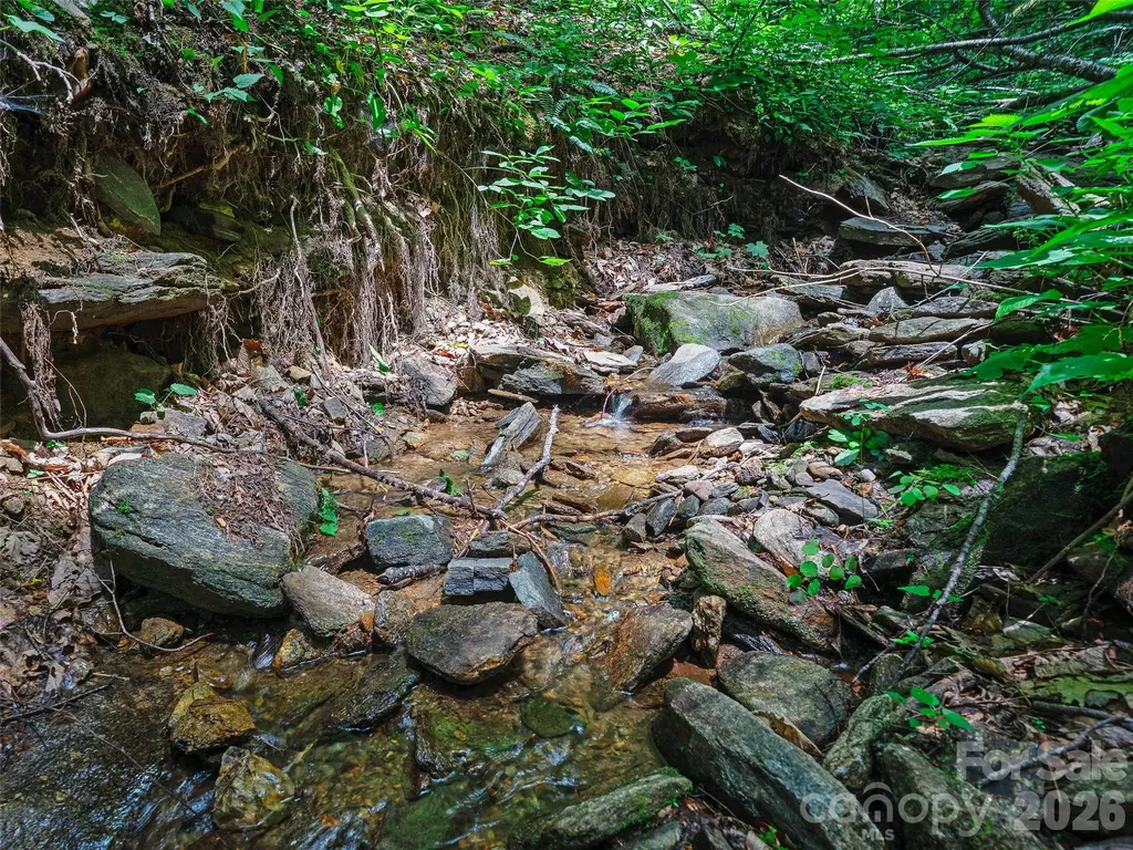 0000 Deep Gap Road Burnsville NC 28714