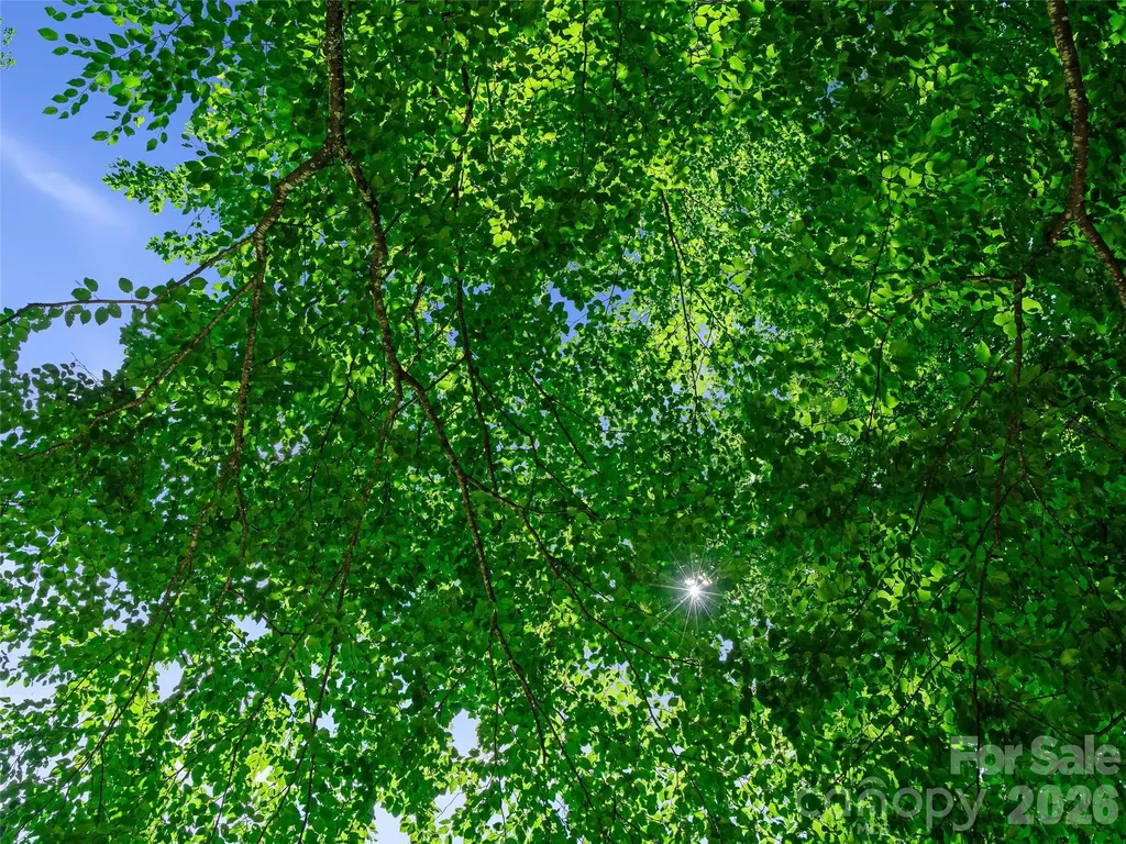 0000 Deep Gap Road Burnsville NC 28714