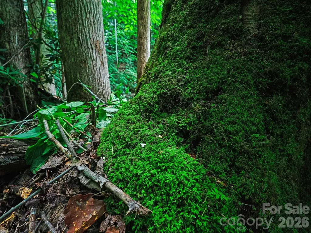 0000 Deep Gap Road Burnsville NC 28714