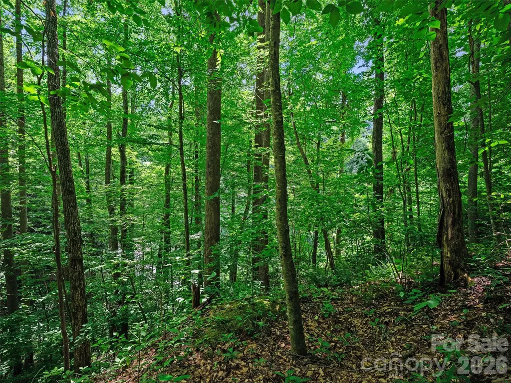 0000 Deep Gap Road Burnsville NC 28714