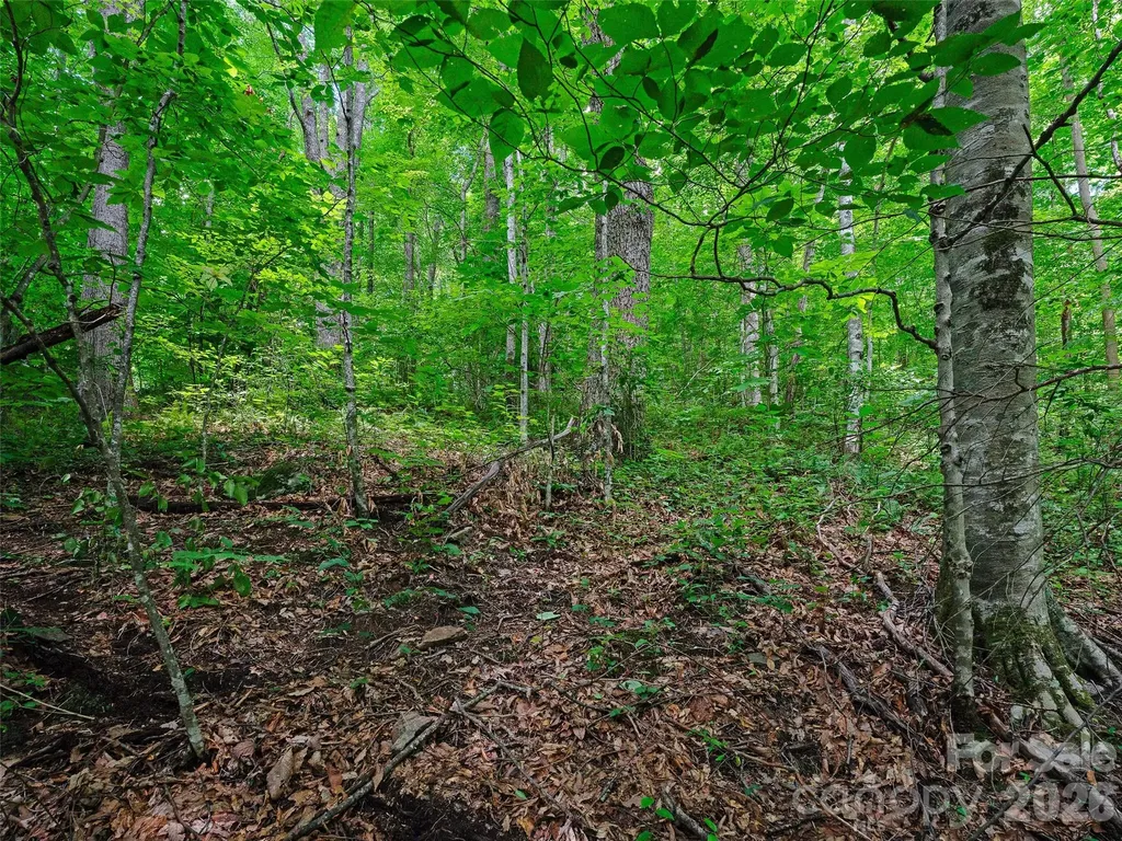0000 Deep Gap Road Burnsville NC 28714