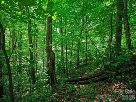 0000 Deep Gap Road Burnsville NC 28714