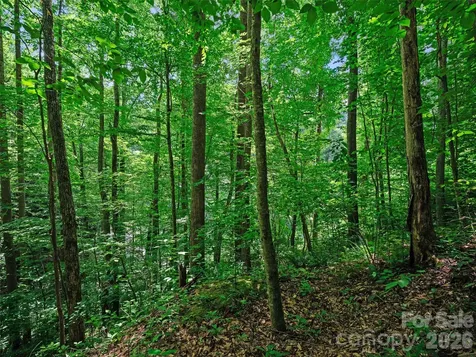 0000 Deep Gap Road Burnsville NC 28714