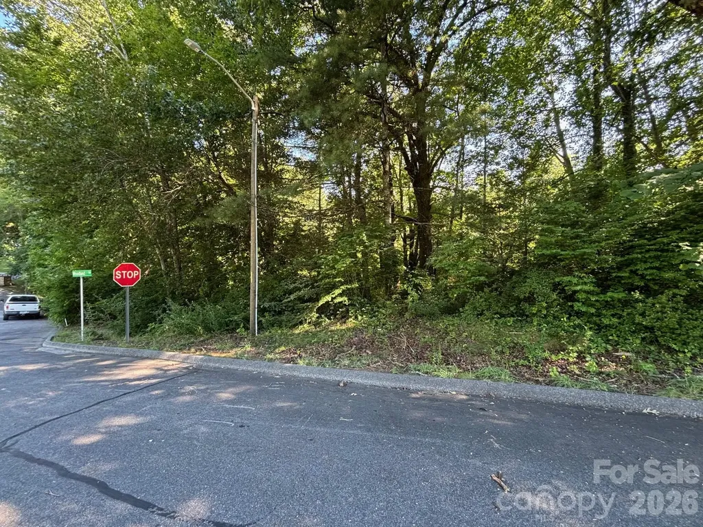 V/l Woodland Drive Marion NC 28752