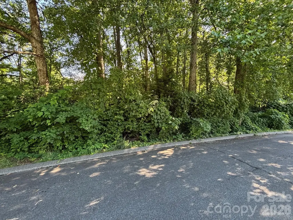 V/l Woodland Drive Marion NC 28752