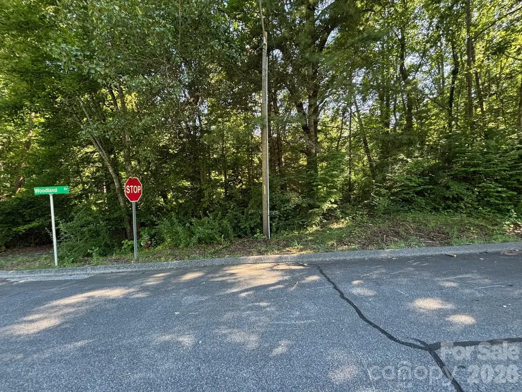 V/l Woodland Drive Marion NC 28752