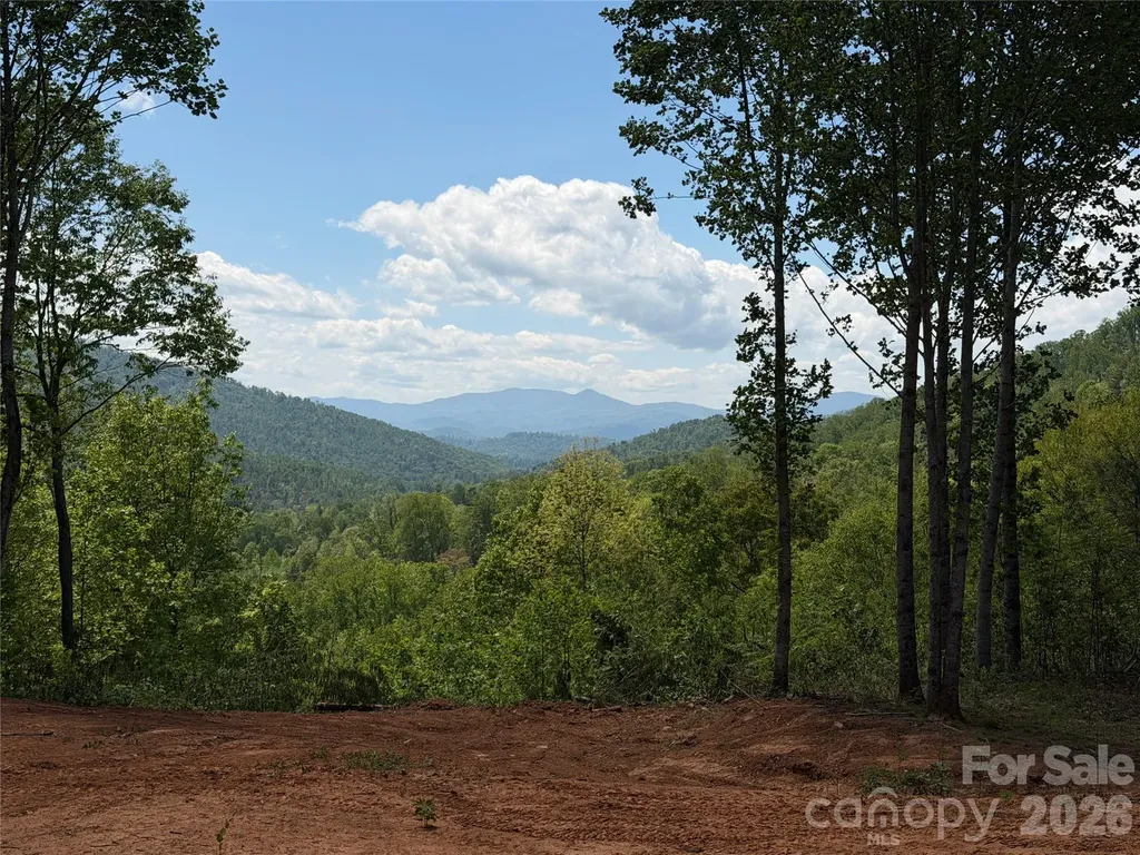 99999 Tipton Lane Bakersville NC 28705