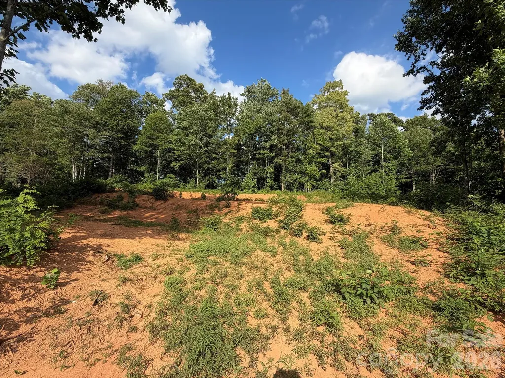 99999 Tipton Lane Bakersville NC 28705