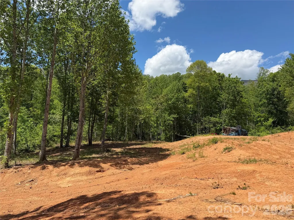99999 Tipton Lane Bakersville NC 28705