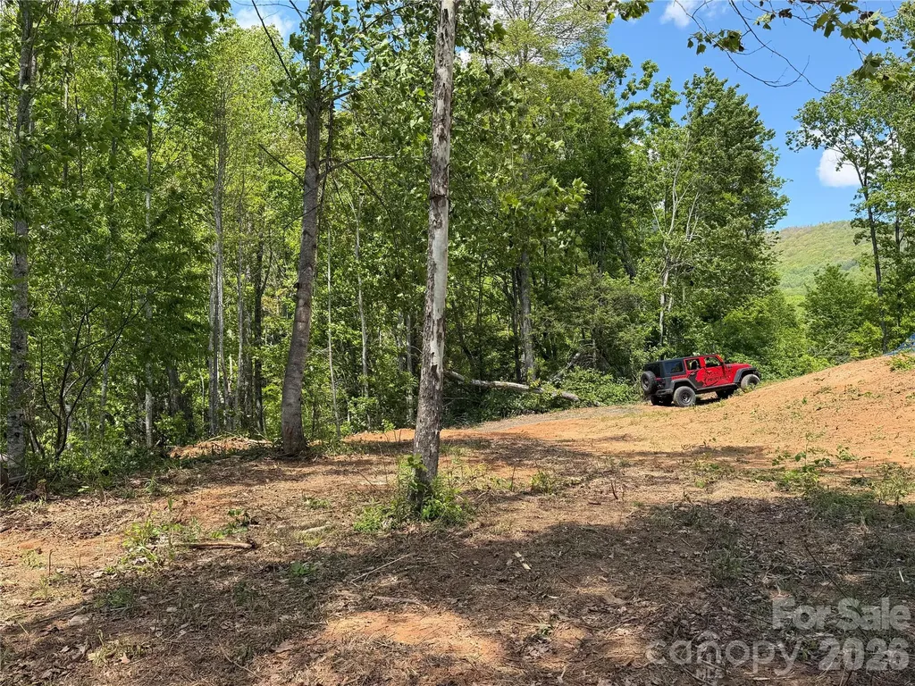 99999 Tipton Lane Bakersville NC 28705