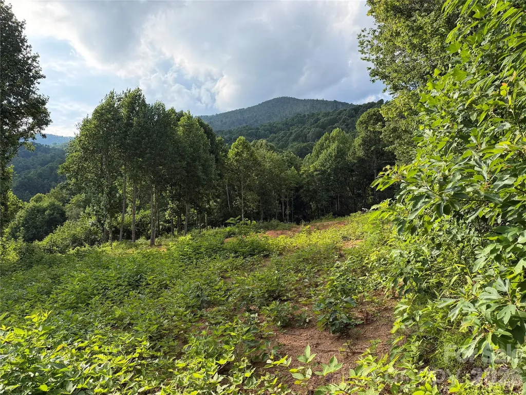 99999 Tipton Lane Bakersville NC 28705
