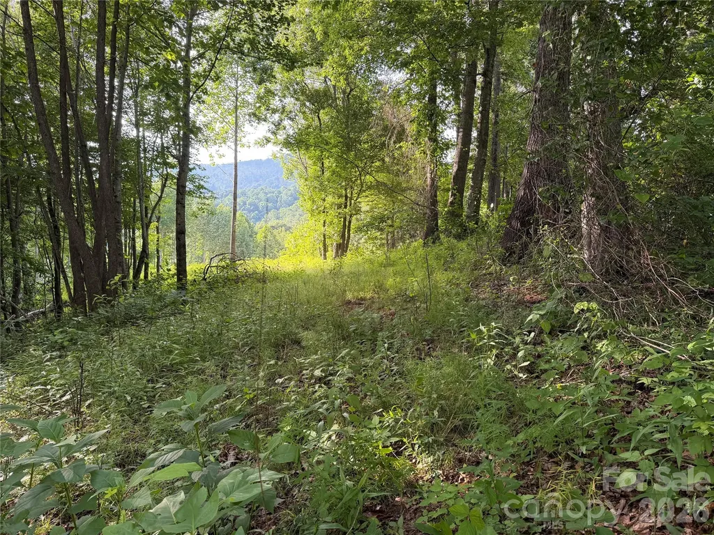99999 Tipton Lane Bakersville NC 28705