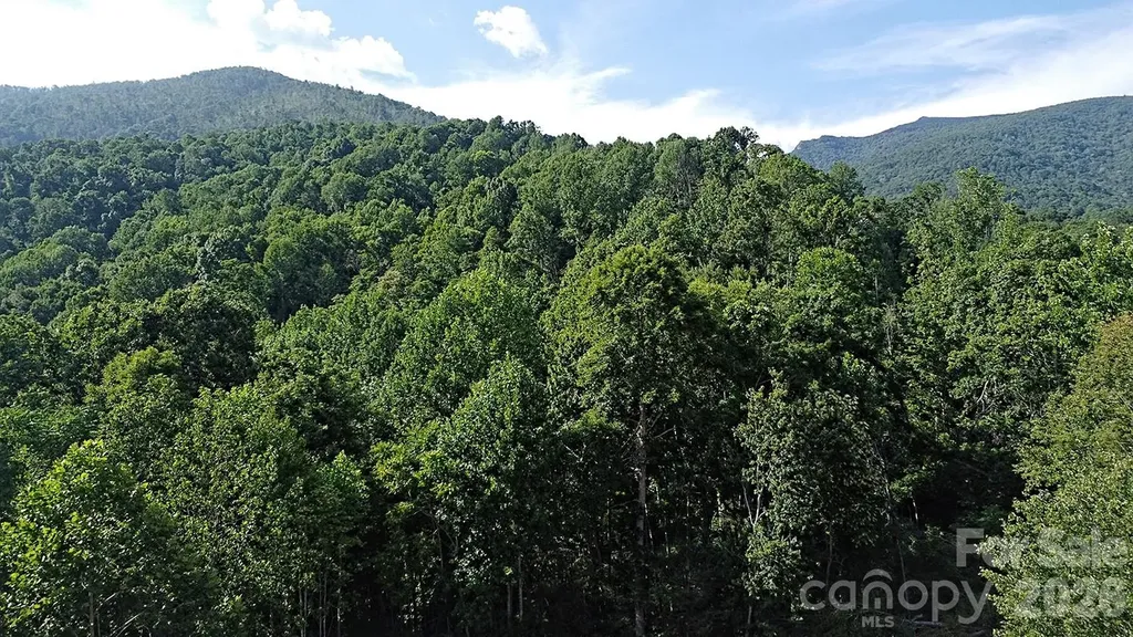 99999 Tipton Lane Bakersville NC 28705