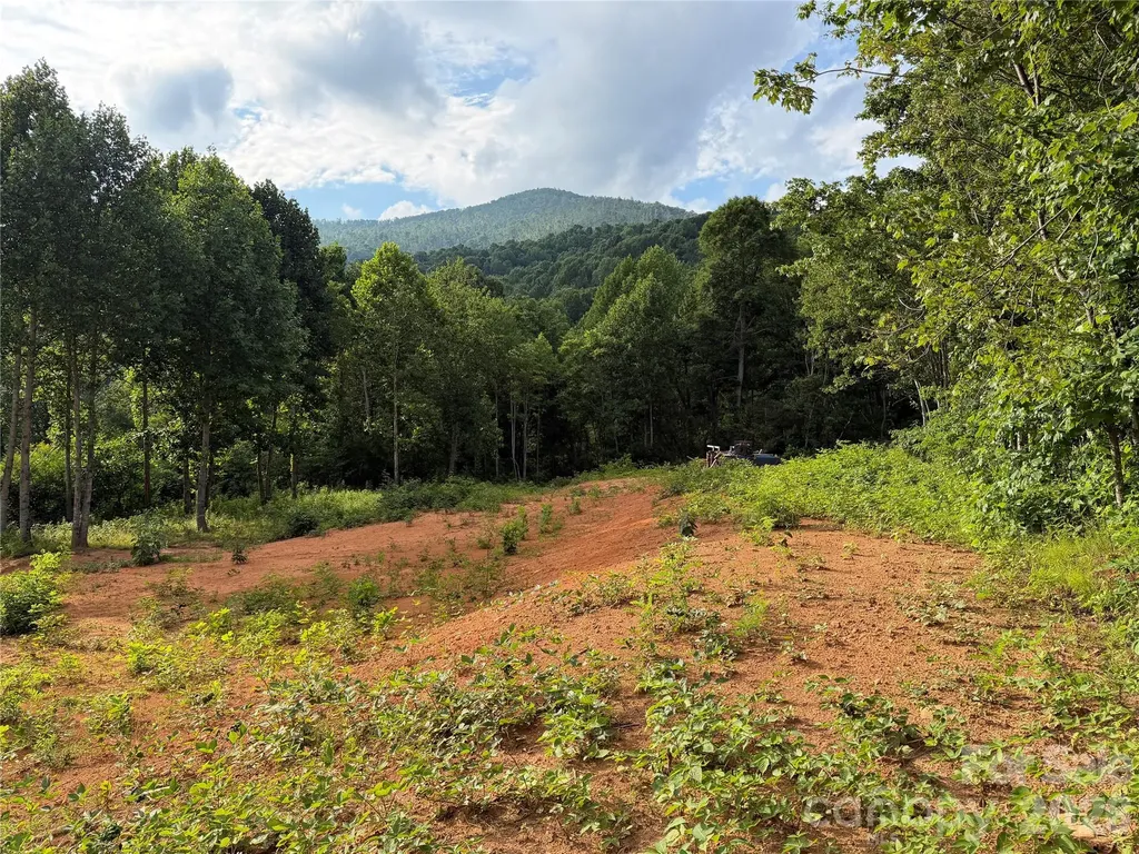 99999 Tipton Lane Bakersville NC 28705