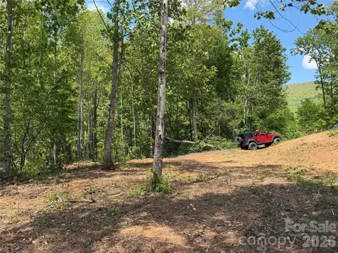 99999 Tipton Lane Bakersville NC 28705
