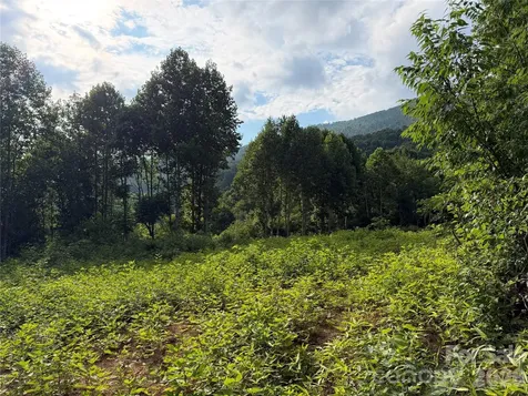 99999 Tipton Lane Bakersville NC 28705