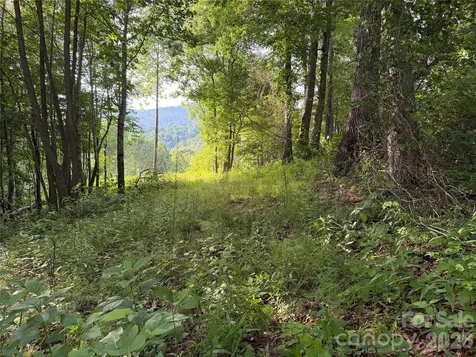 99999 Tipton Lane Bakersville NC 28705