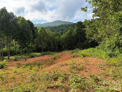 99999 Tipton Lane Bakersville NC 28705
