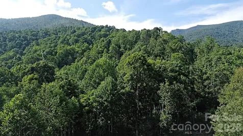 99999 Tipton Lane Bakersville NC 28705