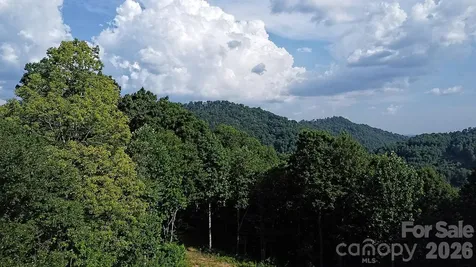 99999 Tipton Lane Bakersville NC 28705