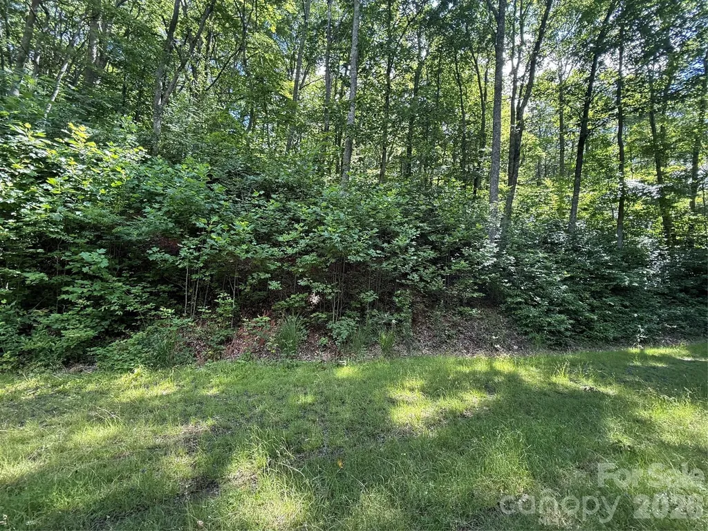 999 Hawks Nest Drive Burnsville NC 28714