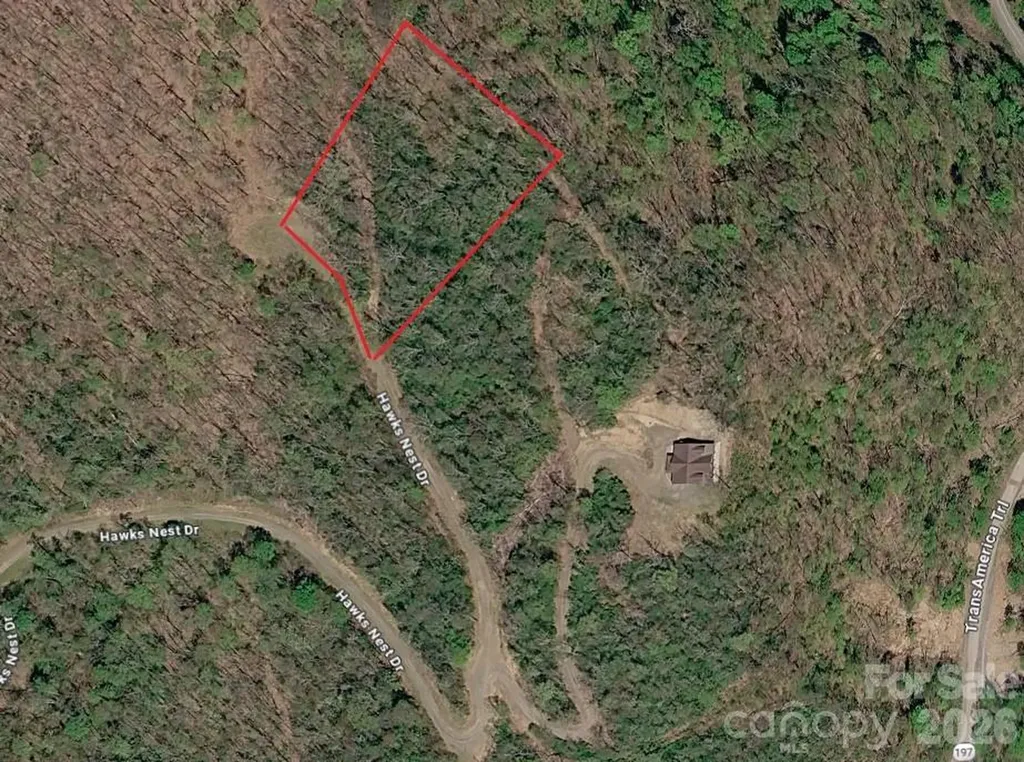 999 Hawks Nest Drive Burnsville NC 28714