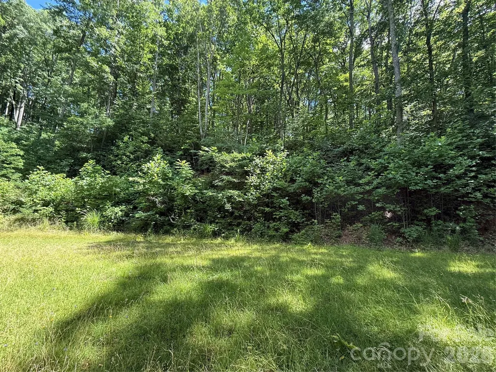 999 Hawks Nest Drive Burnsville NC 28714