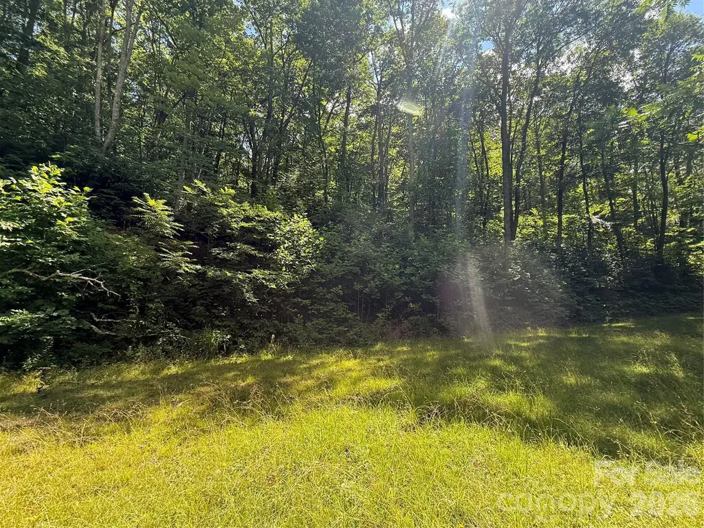 999 Hawks Nest Drive Burnsville NC 28714