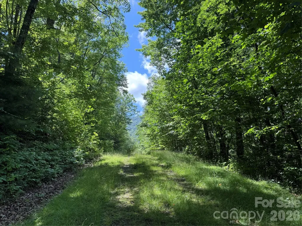999 Hawks Nest Drive Burnsville NC 28714