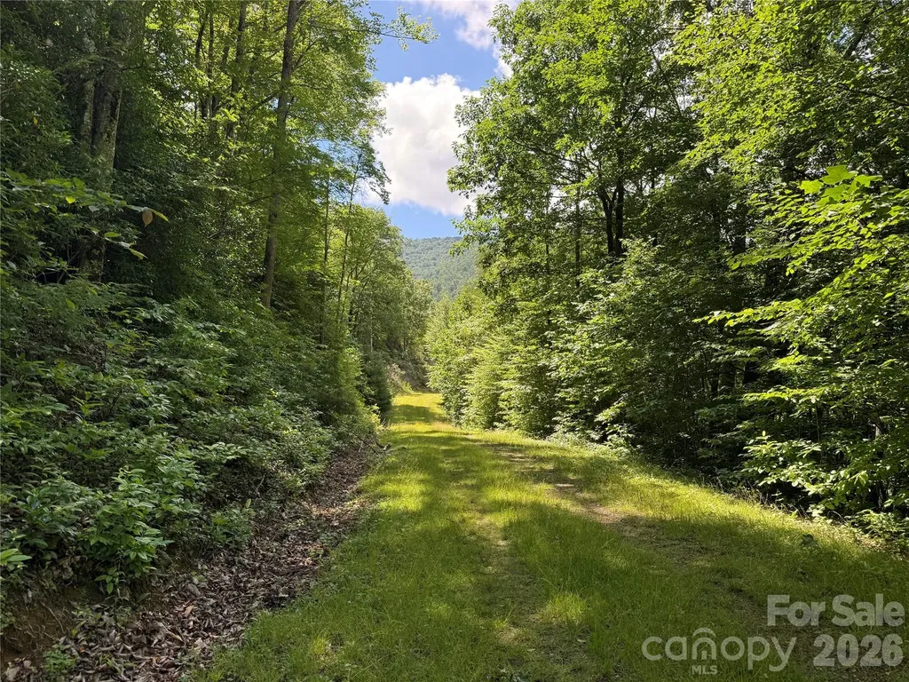 999 Hawks Nest Drive Burnsville NC 28714