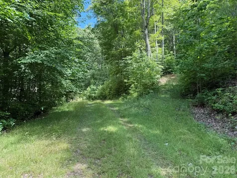 999 Hawks Nest Drive Burnsville NC 28714