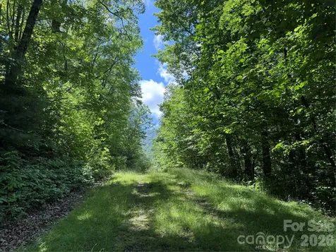 999 Hawks Nest Drive Burnsville NC 28714