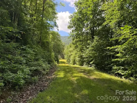 999 Hawks Nest Drive Burnsville NC 28714