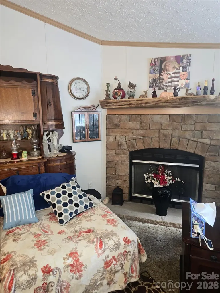 192 Lady Bug Lane Penrose NC 28766